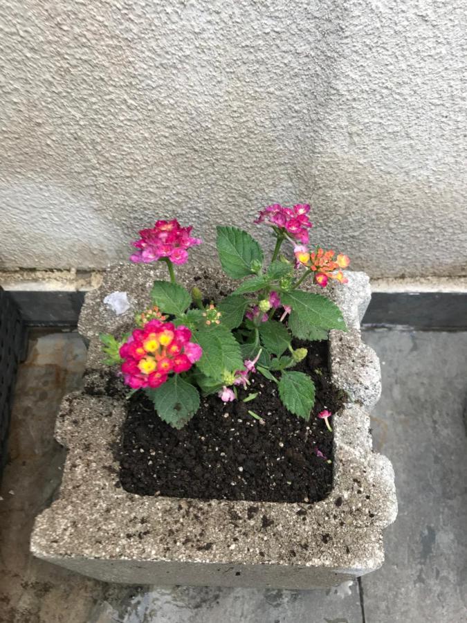 Apartment Betlemi Tbilisi Zewnętrze zdjęcie